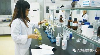png电子官网